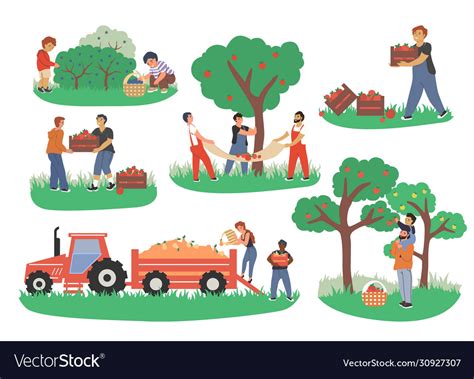 People Picking Fruits And Berries Flat Royalty Free Vector