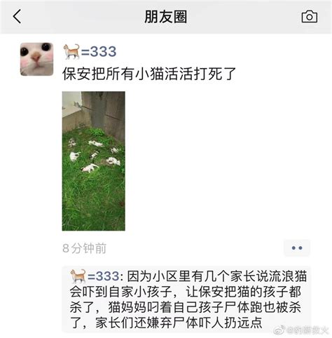 很喜欢一句话：“善良是刻在骨子里的，这就是我们中国人。”