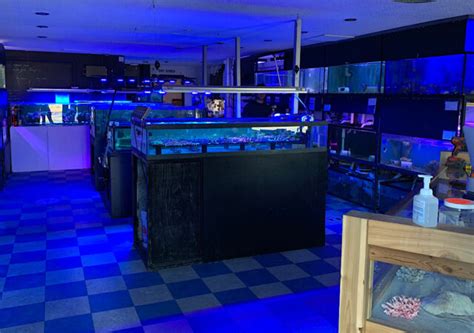 Tag: Blue world aquarium | Reef Builders | The Reef and Saltwater ...