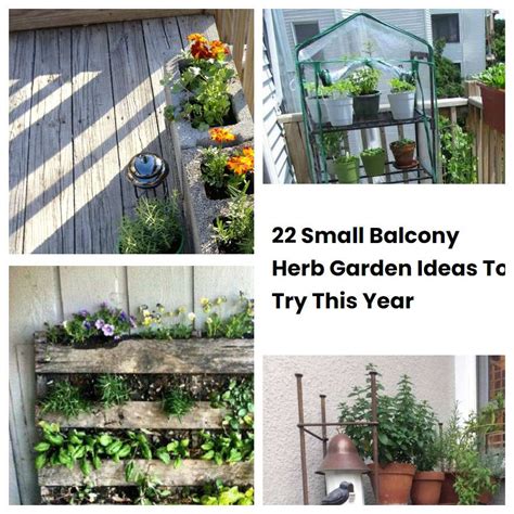 Small Balcony Herb Garden Ideas To Try This Year Sharonsable