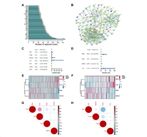 Characterization Of A Hypoxia Risk Model To Predict Prognosis Of Os