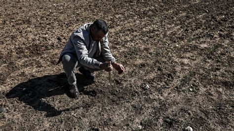 Cop Les D Fis Du Secteur Agricole Face Au Changement Climatique