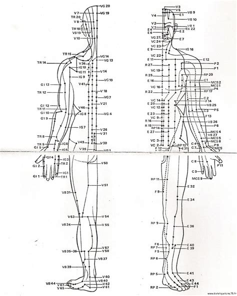 Acupuncture How It Works Uses Benefits And Risks Artofit