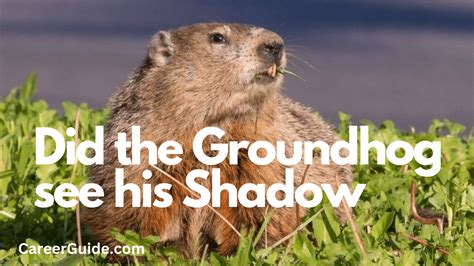 Did Groundhog See His Shadow Today 2025 Usa Margi Christabel