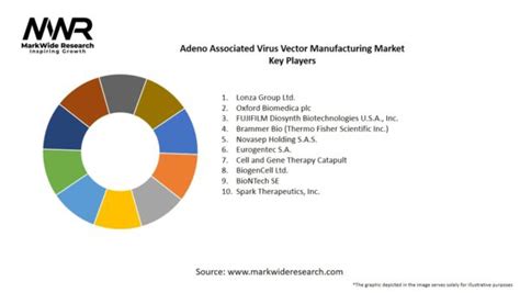 Adeno Associated Virus Vector Manufacturing Market Size