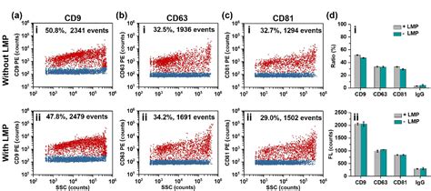 Figure 5 from Quantitative assessment of lipophilic membrane dye‐based labelling of ...