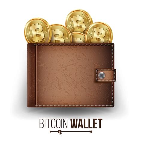 Carteira Bitcoin Vetor Premium