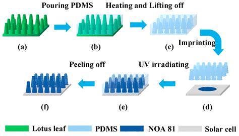 Preparation Of Uv Curable Optical Adhesive Noa Bionic Lotus Leaf