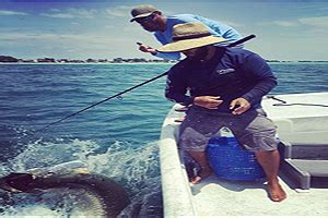 Best Saltwater Fishing Spots In Florida Inshore Offshore Gulf Coast