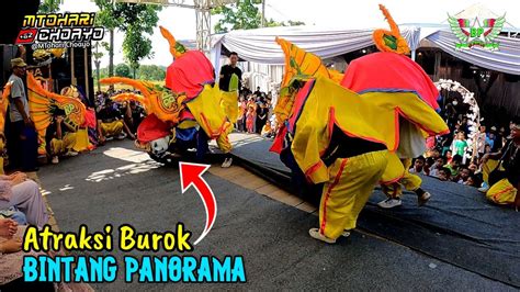 Bali Tersenyum Atraksi Burok BINTANG PANORAMA Live Karang Mangu