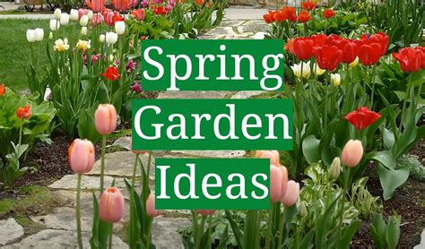 Spring Garden Ideas - GardenProfy