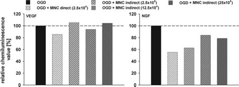 Assessment Of Neuroprotective Effects Of Human Umbilical Cord Blood