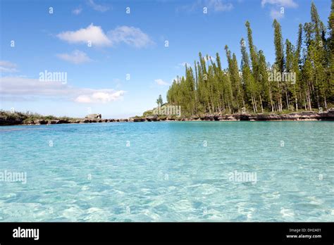 Piscine Naturelle D Oro Baie D Oro Natural Pool Oro Bay Isle Of