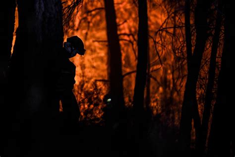 Portugal Plus De 1 500 Pompiers Toujours Mobilisés Contre Un Feu Dans