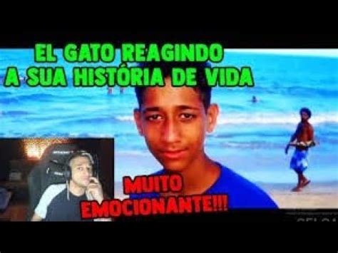 El Gato Reagindo Sua Hist Ria De Vida Youtube