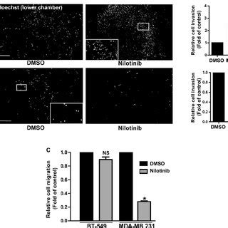 Nilotinib Effect On Cancer Cell Invasion And Migration A B Bt