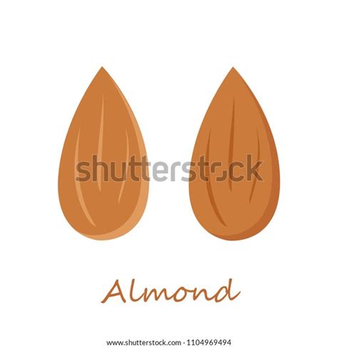 Almond Icon Flat Illustration Almond Vector Stock Vector Royalty Free