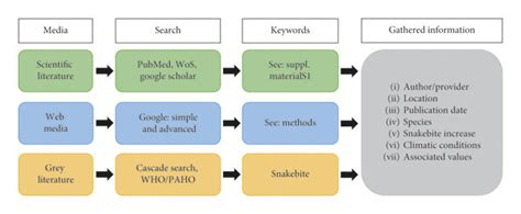 Workflow Of The Literature Review Process Download Scientific Diagram