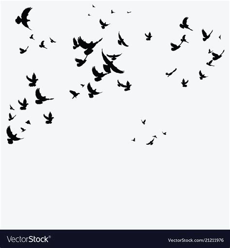 Silhouette of a flock birds black contours Vector Image