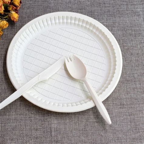 Food Biodegradable Cornstarch Plates Compostable Cornstarch Plate