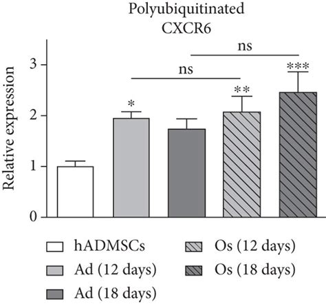 Regulation Of CXCR6 Degradation Or Recycling New Synthesis In HADMSCs