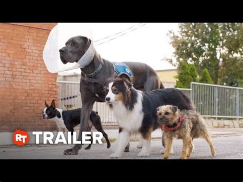 Strays Red Band Trailer