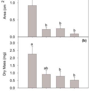 Effects Of P Sericeus Sex And Host Plant Species On A Leaf Area