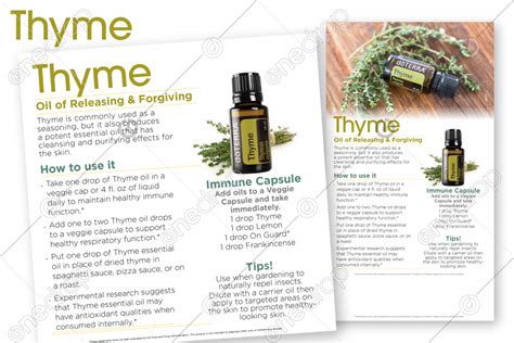 Thyme Benefits And Uses By Jan Kohler