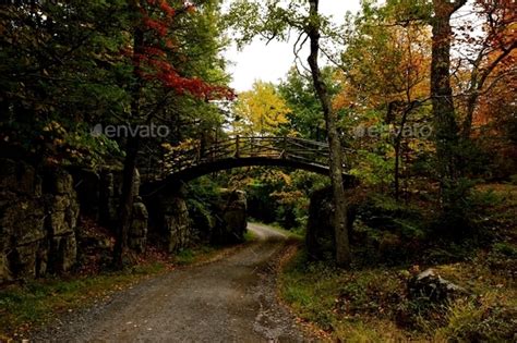 Hiking New York state parks Stock Photo by lynnebook | PhotoDune