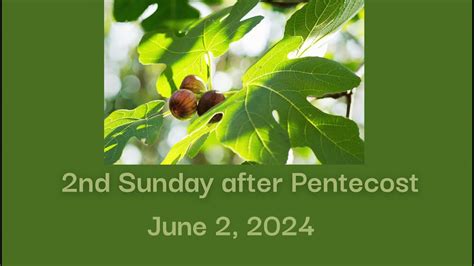 St John S Sunday Service Second Sunday After Pentecost June 2 2024 Youtube