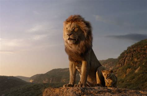 Le Roi Lion Un Prequel Sur Mufasa Sortira En 2024 Radio Contact