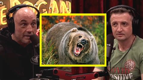 Joe Rogan GRIZZLY Bears Are MONSTERS YouTube