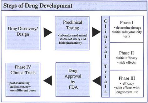 Steps Of Drug Development