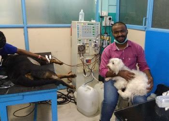 Best Veterinary Hospitals In Kochi Kl Bestincity