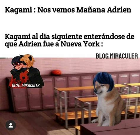 Pin De Natasha Astudillo En Amiga Memes De Miraculous Ladybug Memes