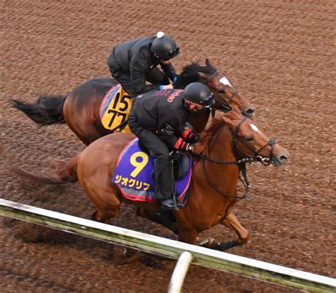 【ダービー】皐月賞1着ジオグリフ、2着イクイノックスの木村勢はそれぞれ坂路で軽快に動く｜極ウマ・プレミアム