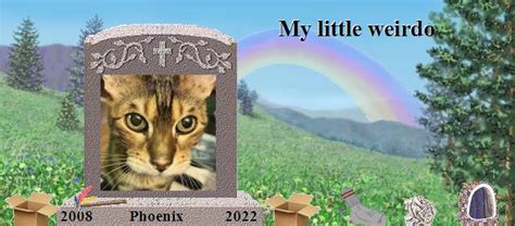 Phoenix S Rainbow Bridge Pet Loss Memorial