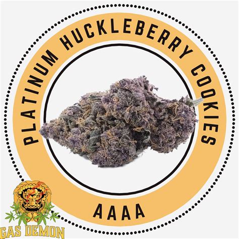 Buy Platinum Huckleberry Cookies Indica Dominant Hybrid TGA