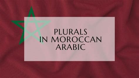 Learn Moroccan Arabic - Lingualid