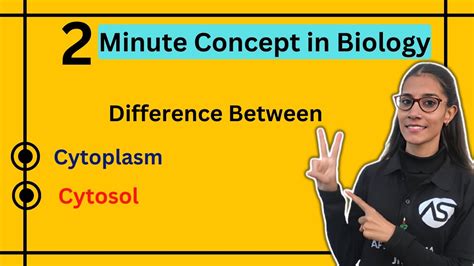 Difference Between Cytoplasm Cytosol Of A Cell Apnasapnajrf Youtube