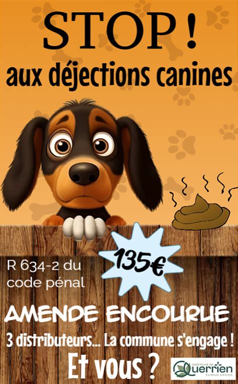 Stop Aux D Jections Canines Mairie De Querrien