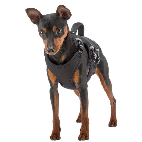 Harnaiss Ergotrekking P Pour Chiens Noir Ferplast