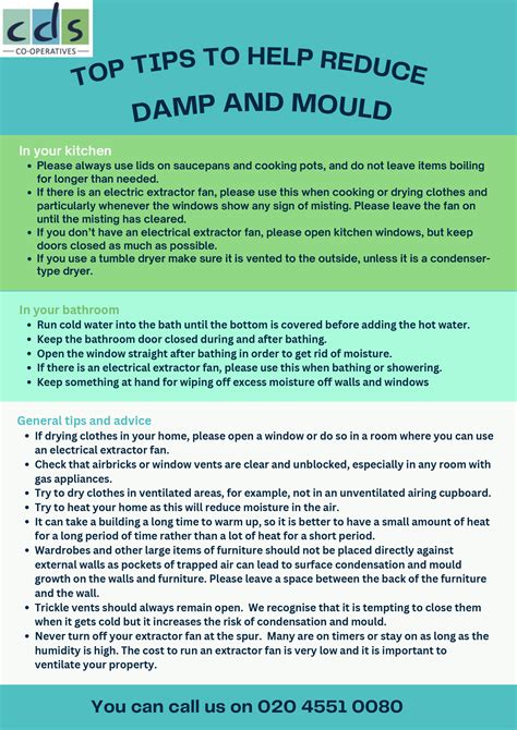 Damp Mould And Condensation Reporting CDS Co Operatives