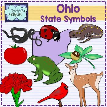 Ohio state symbols clipart by Teacher's Clipart | TpT