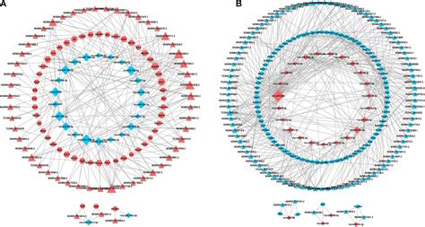 Frontiers Bioinformatics Based Analysis Of The Lncrna Mirna Mrna