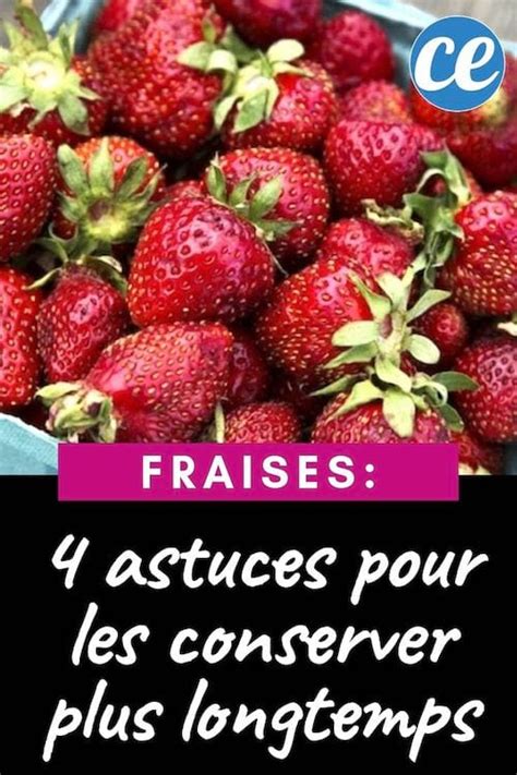 Astuces Simples Pour Conserver Les Fraises Fois Plus Longtemps