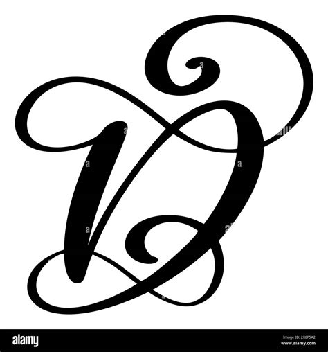 Vector Calligraphy Hand Drawn Letter D Logo Script Font Handwritten