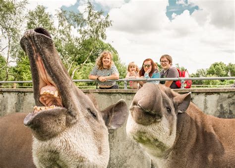 Park rangers explain the geography of the peak to peak 1