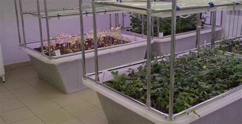 Indoor Farming Stock Video Footage for Free Download