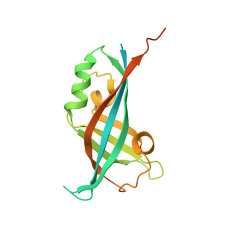 Rcsb Pdb H D Ebola Virus Matrix Protein Vp N Terminal Domain In